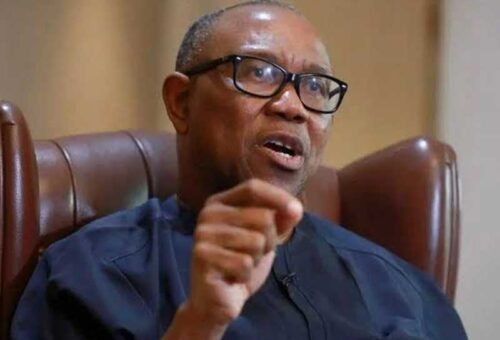 Go Round And Tell Nigerians What You Have Done Or Go Home – THISDAYLIVE