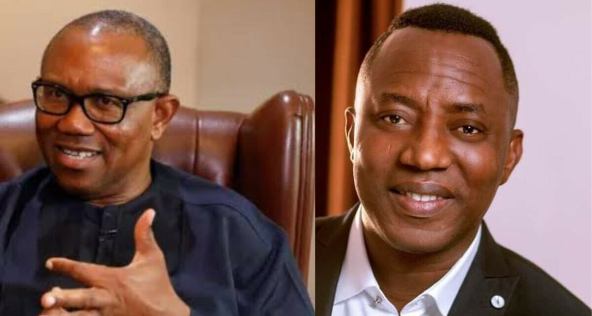 Sowore Accuses NDC Leaders Of Making ₦9bn From Nomination Forms, Knocks Obi