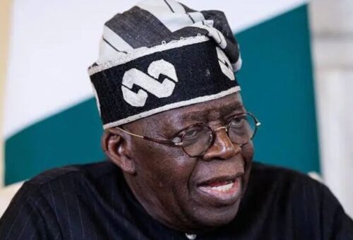 Campaigning Against Tinubu Will Affect Your Re-election, Group Tells Northern Governors