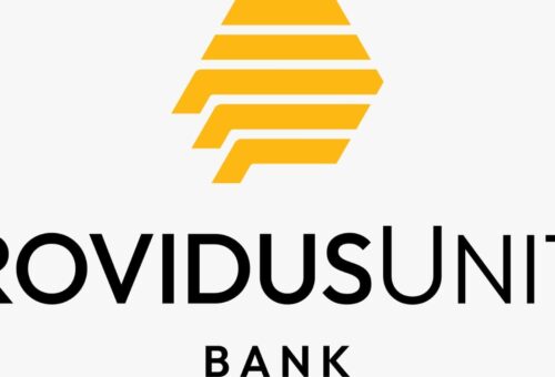 ProvidusUnity Bank enables mastercard payments on Google Pay – Daily Trust