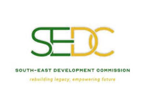 FG to Begin Execution of South-east’s 400km Gas Pipeline Project – THISDAYLIVE