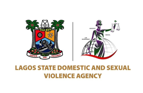 Lagos publishes nationwide directory to help GBV survivors access support