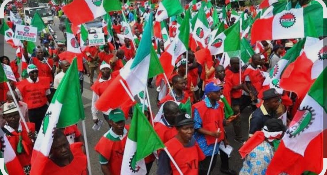 FCT NLC Suspends Strike, Workers To Resume Wednesday