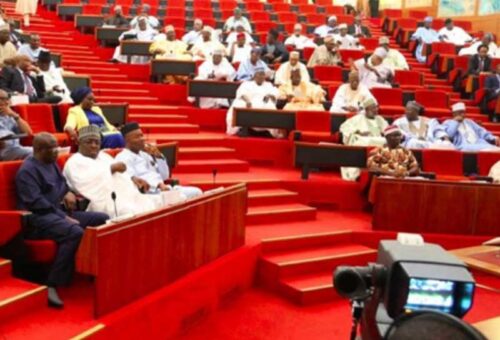 Senate Moves to Modernise Farming, Establishes Agriculture College in Borno – THISDAYLIVE
