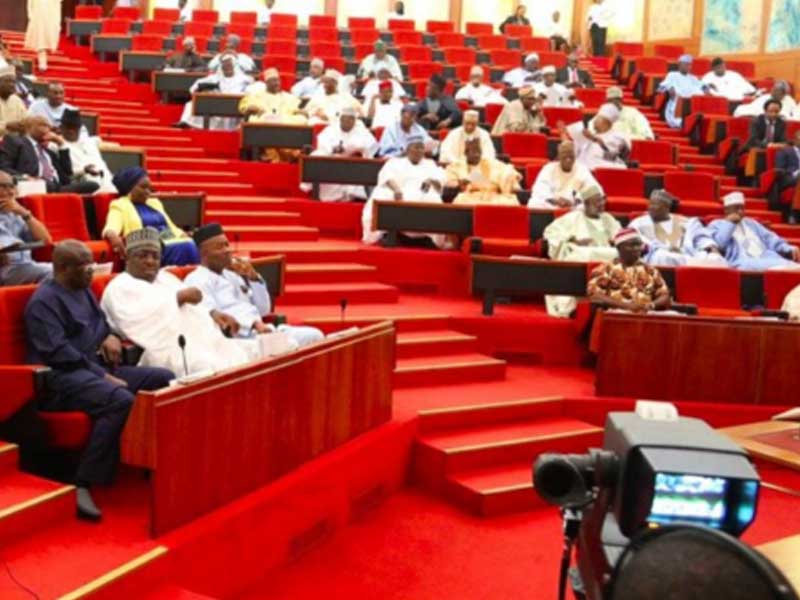 Senate Moves to Modernise Farming, Establishes Agriculture College in Borno – THISDAYLIVE