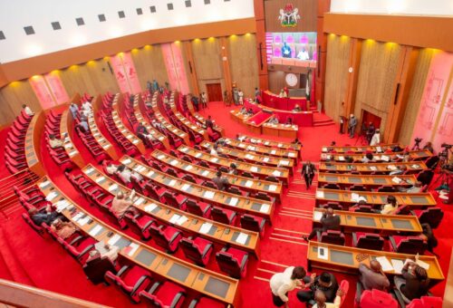 Senate directs emergency interventions in Anambra, Imo, others – Daily Trust