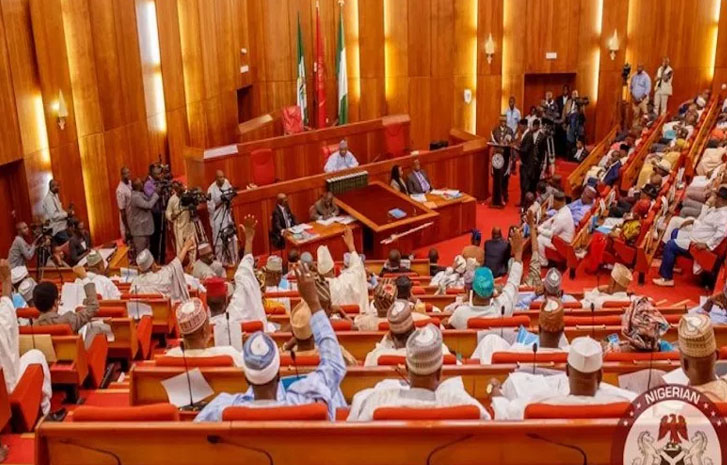 Senate seeks troops’ deployment as gunmen kill 113 persons in Benue