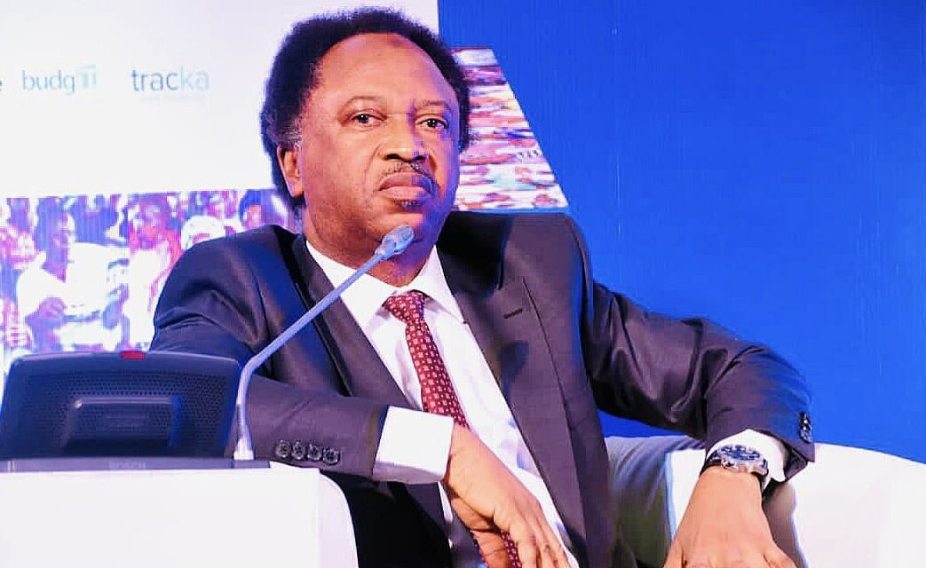 ADC supporters bitter over Obi, Kwankwaso’s ‘divorce’ — Shehu Sani