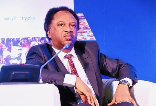 ADC supporters bitter over Obi, Kwankwaso’s ‘divorce’ — Shehu Sani