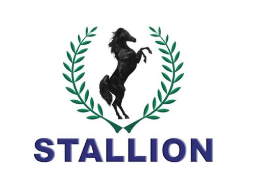 UBA wins judgment against Stallion Group, Vaswani brothers over alleged N156 billion debt