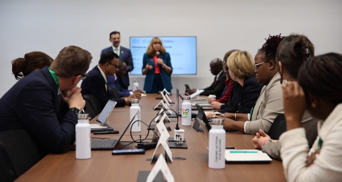 Nigeria deploys BIOFIN, Net-Zero Plan to link biodiversity with national investments