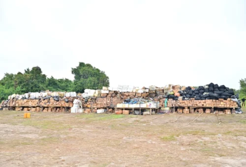 NDLEA intercepts N7.1 billion drugs in Lagos, arrests 85-year-old woman in Edo