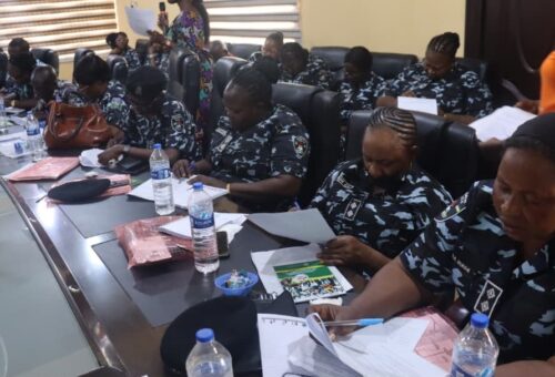 Ogun: Police undergo training on post-violence care, handling of GBV survivors