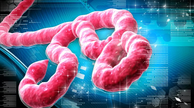 BREAKING: Nigeria confirms Ebola case in Abuja, begins contact tracing