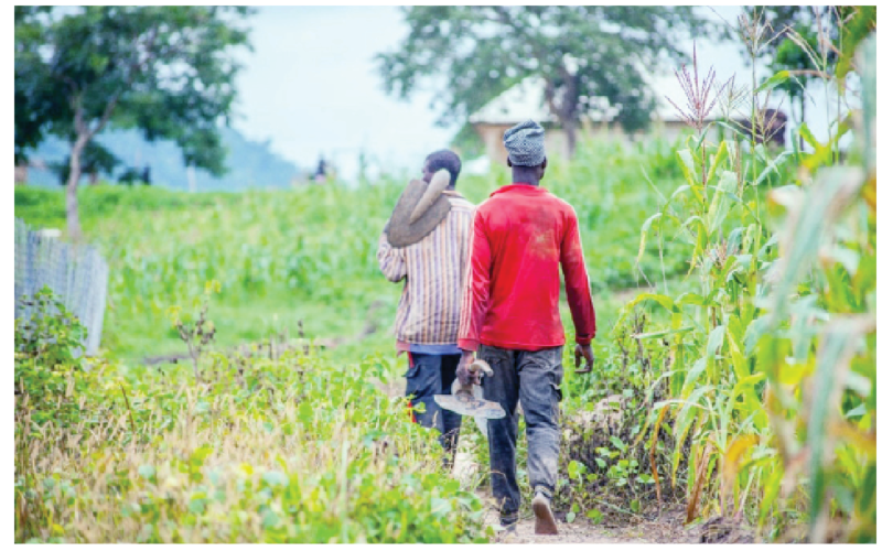 High Input Costs, Insecurity Undercut Federal Govt’s Food Emergency Interventions High Input Costs, Insecurity Undercut Federal Govt’s Food Emergency Interventions