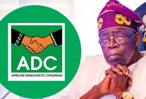 ADC Accuses Tinubu Campaign Of Smokescreen Over Fake News Allegation