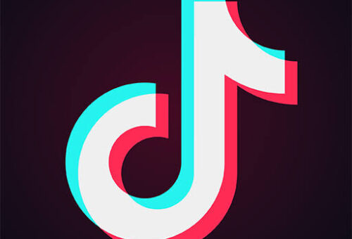 TikTok Moves to Resolve Access Restriction in Northern Nigeria – THISDAYLIVE