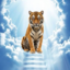 Altai the Tiger Price: ALTAI/USD Live Price Chart, Market Cap