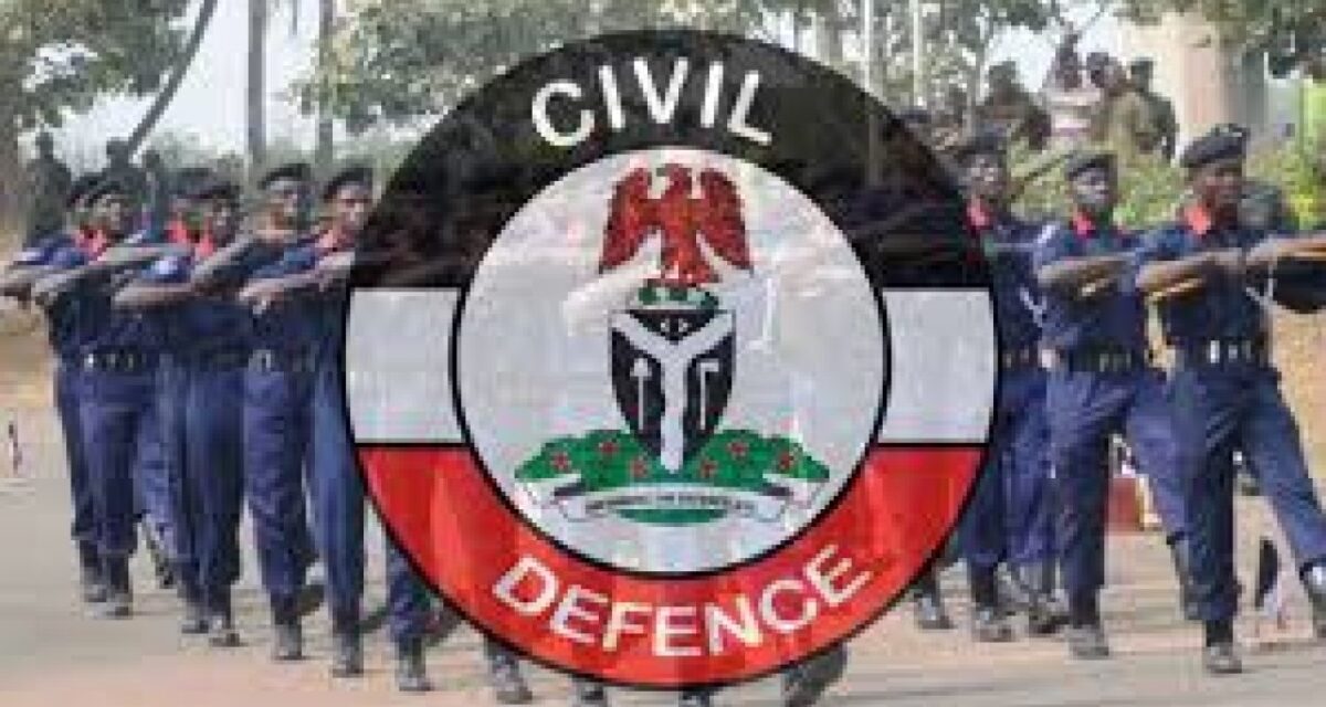 NSCDC arrests two suspected vandals in Kano