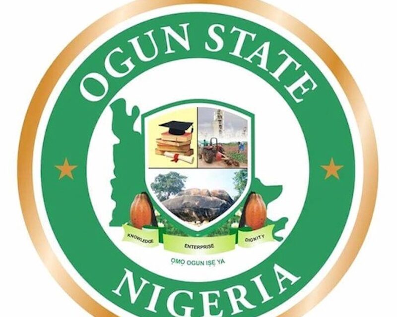 Ogun Suspends Eselu of Iselu Over Alleged Partisan Political Activities – THISDAYLIVE